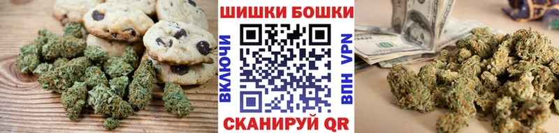Купить закладки  Ленинск-Кузнецкий  Canna-Cookies конопля 