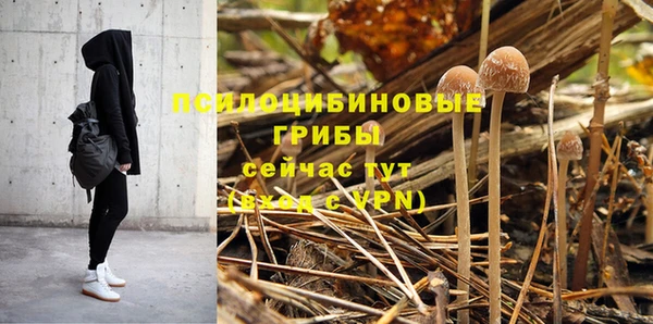 соль курить ск Ладушкин