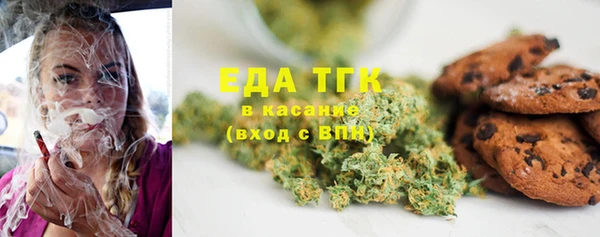 ГАЛЛЮЦИНОГЕННЫЕ ГРИБЫ Лагань