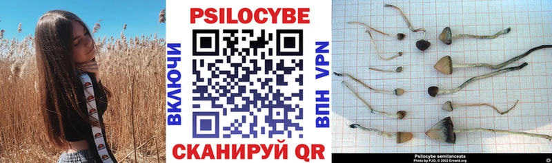 Псилоцибиновые грибы GOLDEN TEACHER  Купить где  Ленинск-Кузнецкий 